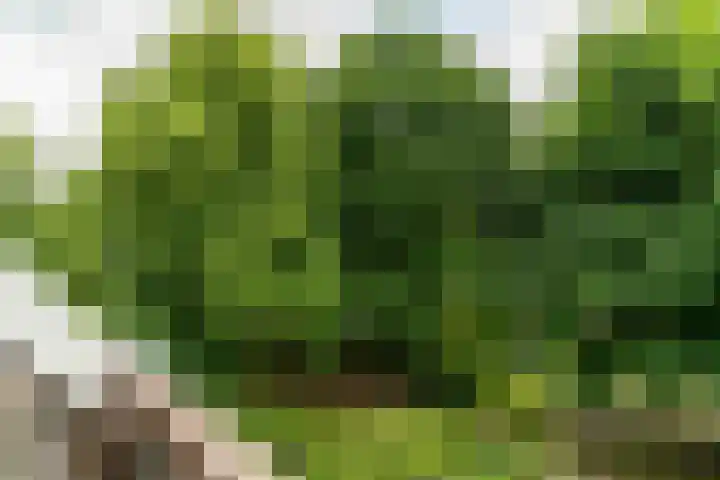 Binnen de Veste 73 Amersfoort thumbnail 13