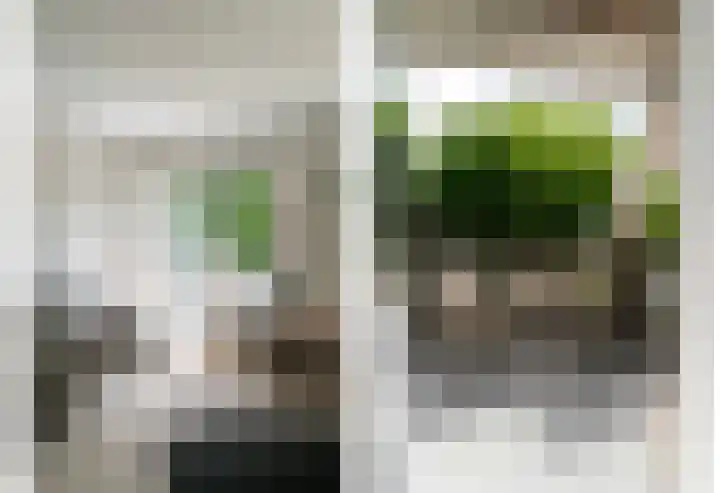 Binnen de Veste 73 Amersfoort thumbnail 14