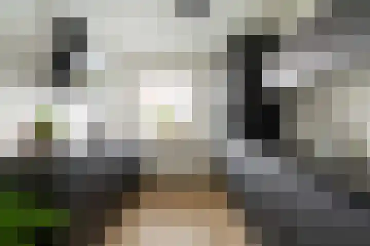 Binnen de Veste 73 Amersfoort thumbnail 19