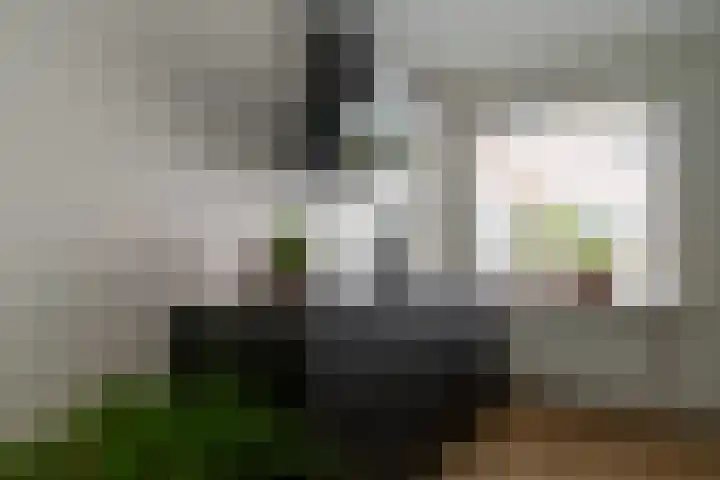 Binnen de Veste 73 Amersfoort thumbnail 20