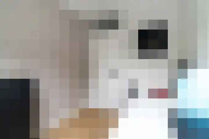 Binnen de Veste 73 Amersfoort thumbnail 29