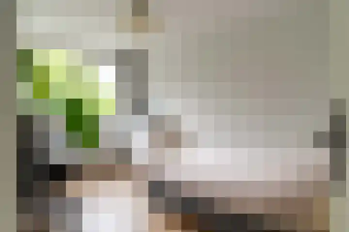 Binnen de Veste 73 Amersfoort thumbnail 30