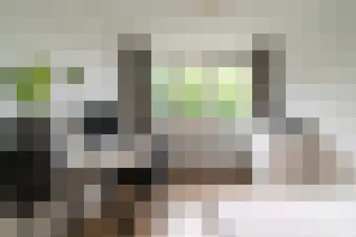 Binnen de Veste 73 Amersfoort thumbnail 31