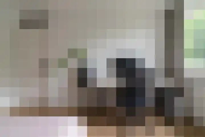 Binnen de Veste 73 Amersfoort thumbnail 32