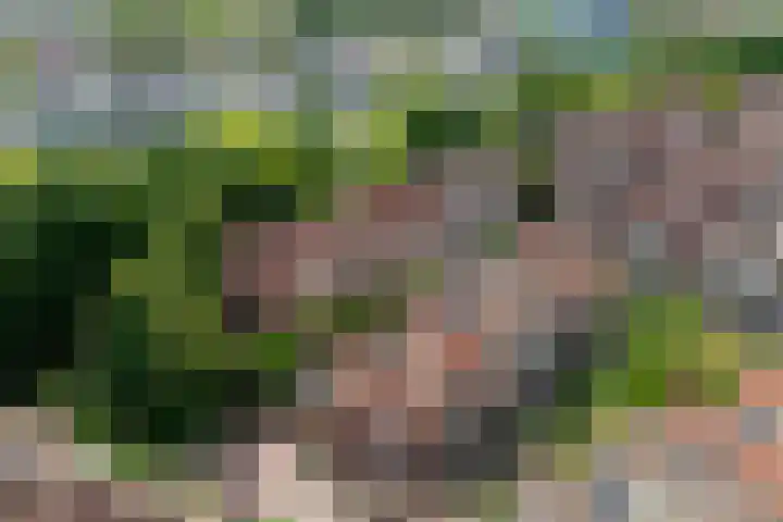 Binnen de Veste 73 Amersfoort thumbnail 44