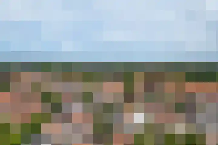 Binnen de Veste 73 Amersfoort thumbnail 46