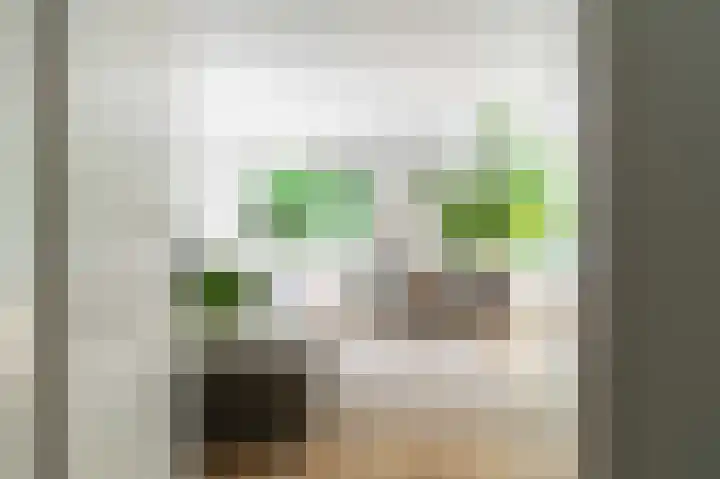 Binnen de Veste 73 Amersfoort thumbnail 5
