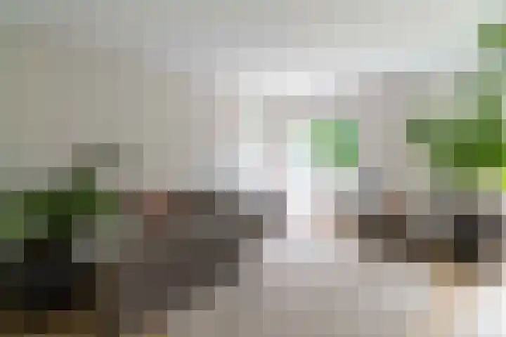 Binnen de Veste 73 Amersfoort thumbnail 7
