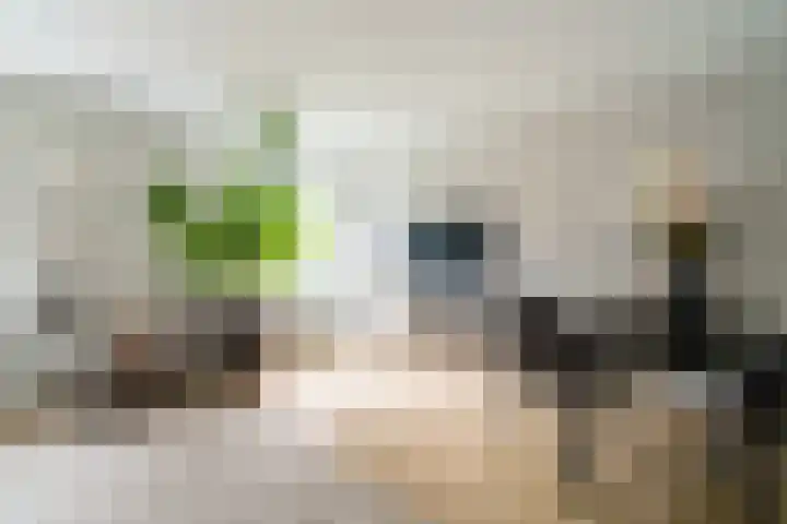 Binnen de Veste 73 Amersfoort thumbnail 9