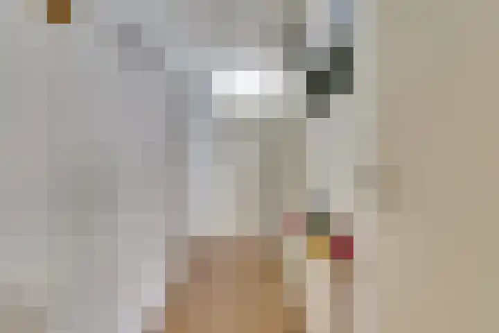 Binnen de Veste 74 Amersfoort thumbnail 12