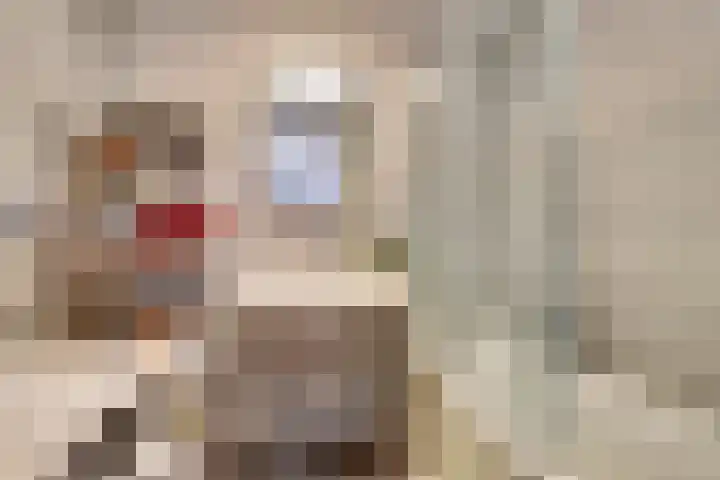 Binnen de Veste 74 Amersfoort thumbnail 13