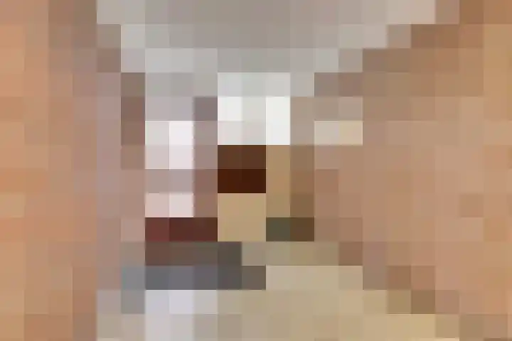 Binnen de Veste 74 Amersfoort thumbnail 17