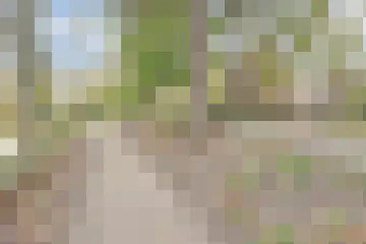 Binnen de Veste 74 Amersfoort thumbnail 25