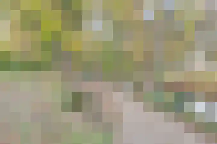 Binnen de Veste 74 Amersfoort thumbnail 26