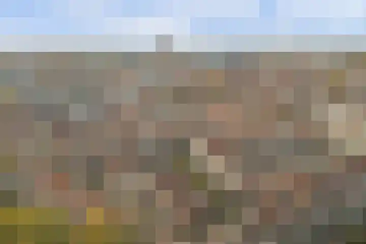 Binnen de Veste 74 Amersfoort thumbnail 29