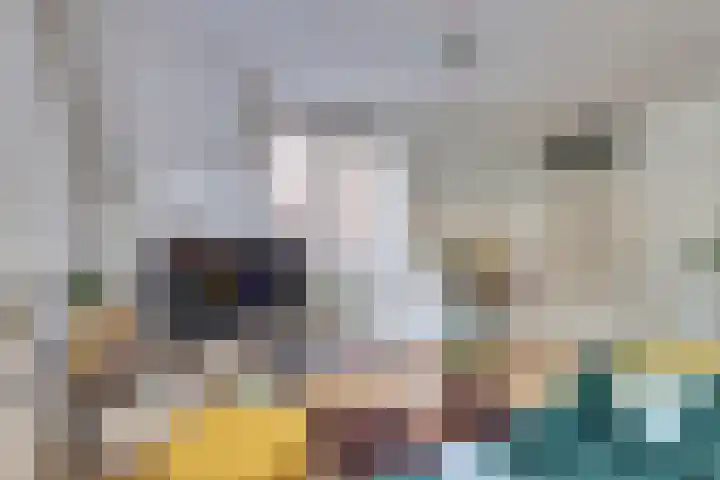 Binnen de Veste 74 Amersfoort thumbnail 5