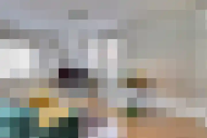 Binnen de Veste 74 Amersfoort thumbnail 6