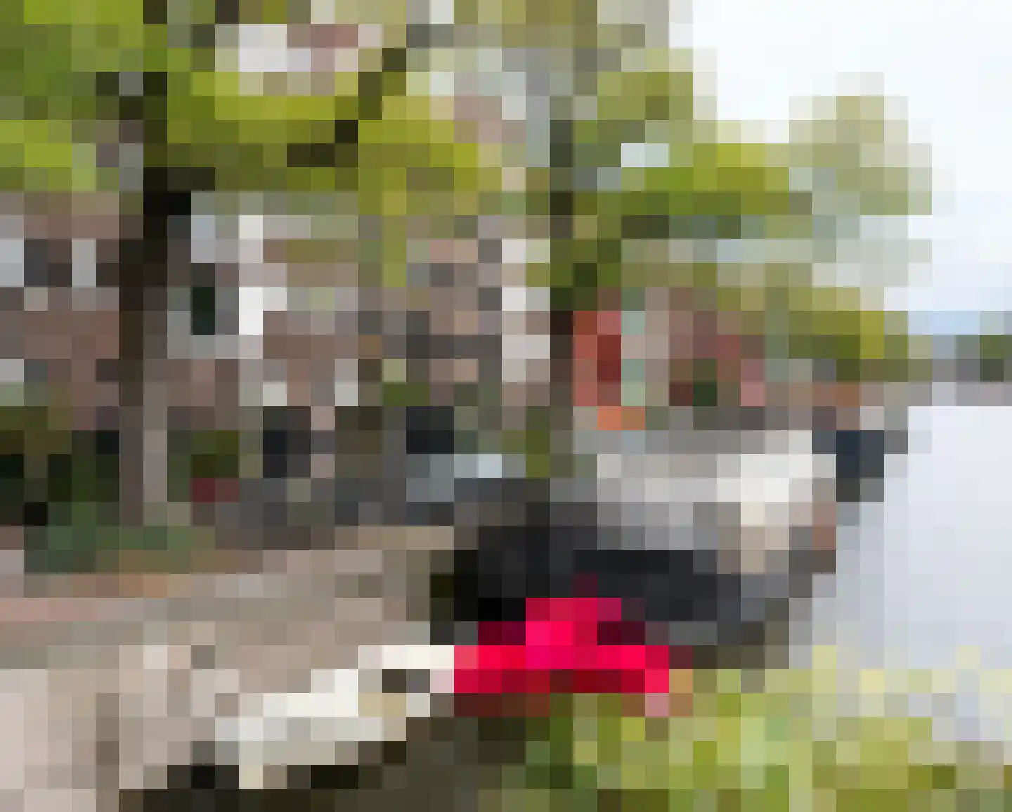 Binnen Dommersstraat 3 Amsterdam thumbnail 48