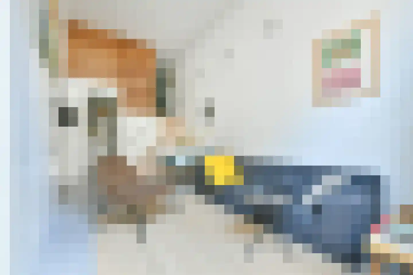 Binnen Dommersstraat 3 Amsterdam thumbnail 8