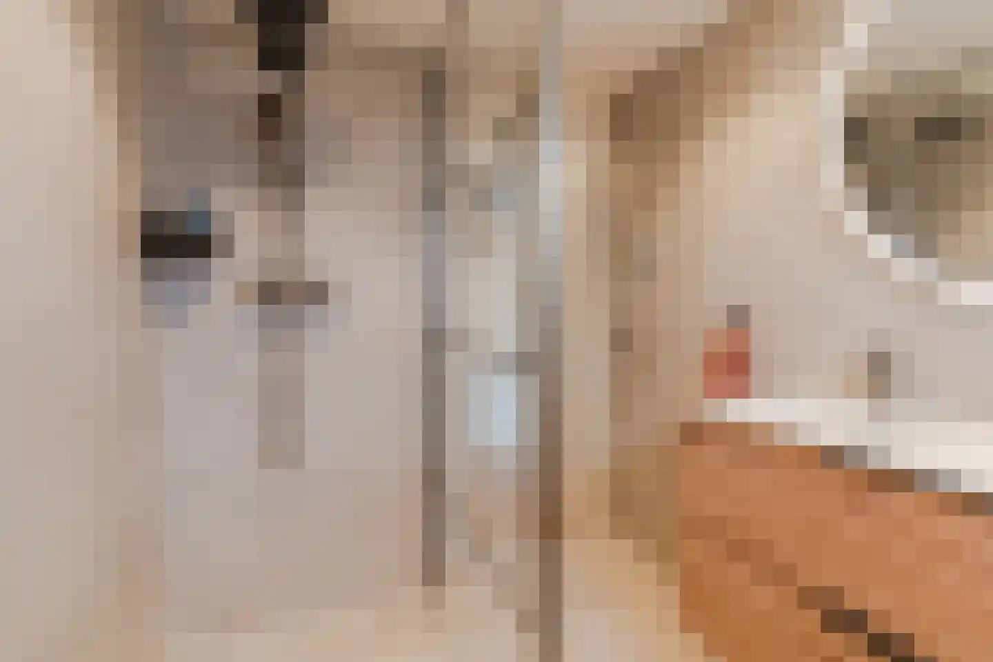 Binnen Hil 20 Breda thumbnail 21