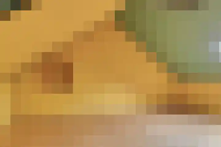 Binnen Hil 28 Breda thumbnail 17