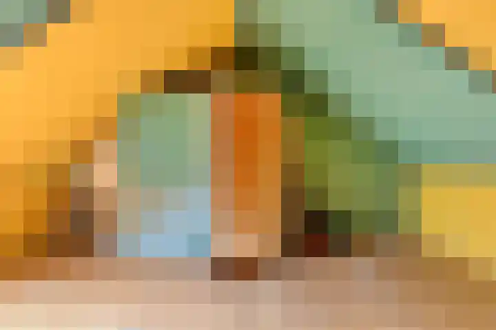 Binnen Hil 28 Breda thumbnail 18
