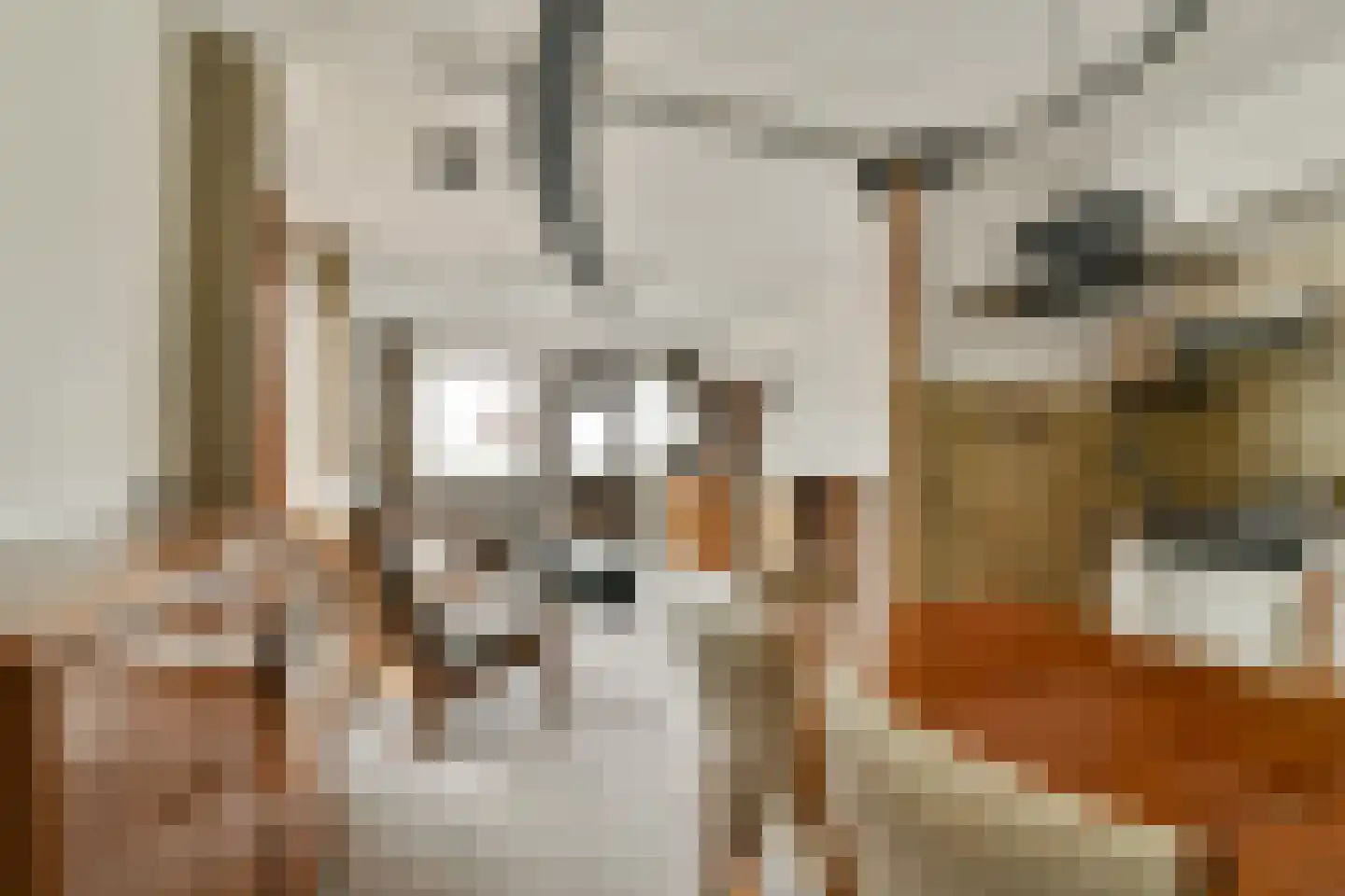 Binnen Kalkhaven 237 Dordrecht thumbnail 4