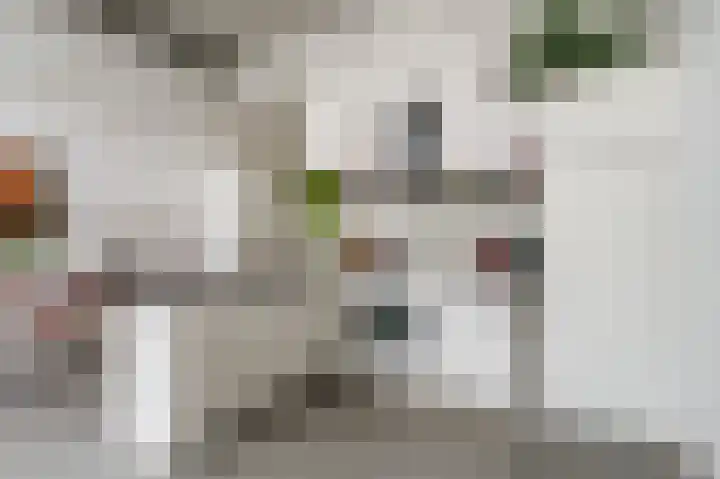 Binnen Kalkhaven 5 C Dordrecht thumbnail 23