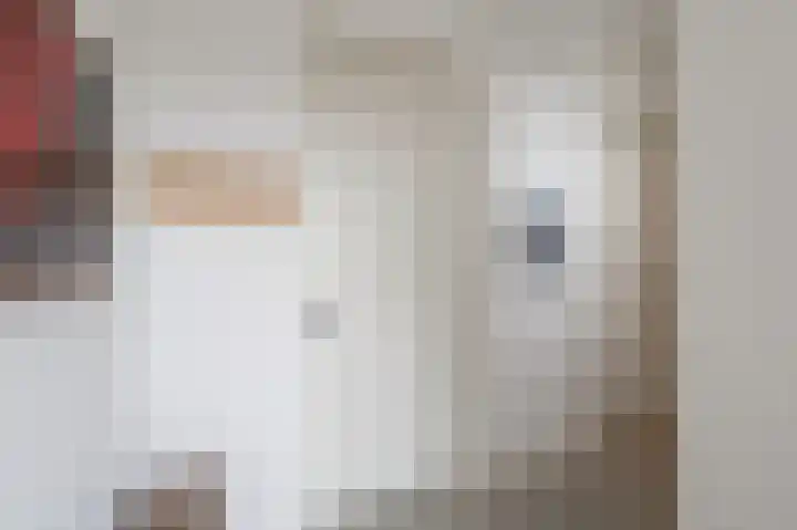 Binnen Kalkhaven 5 C Dordrecht thumbnail 7