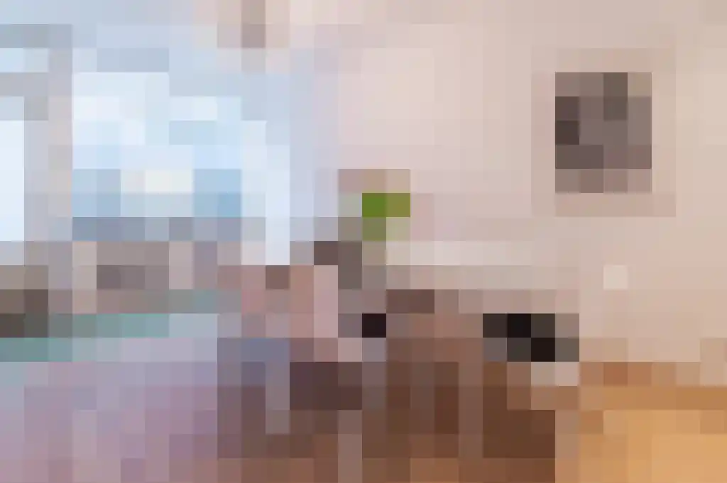 Binnen Oranjestraat 1 Amsterdam thumbnail 6