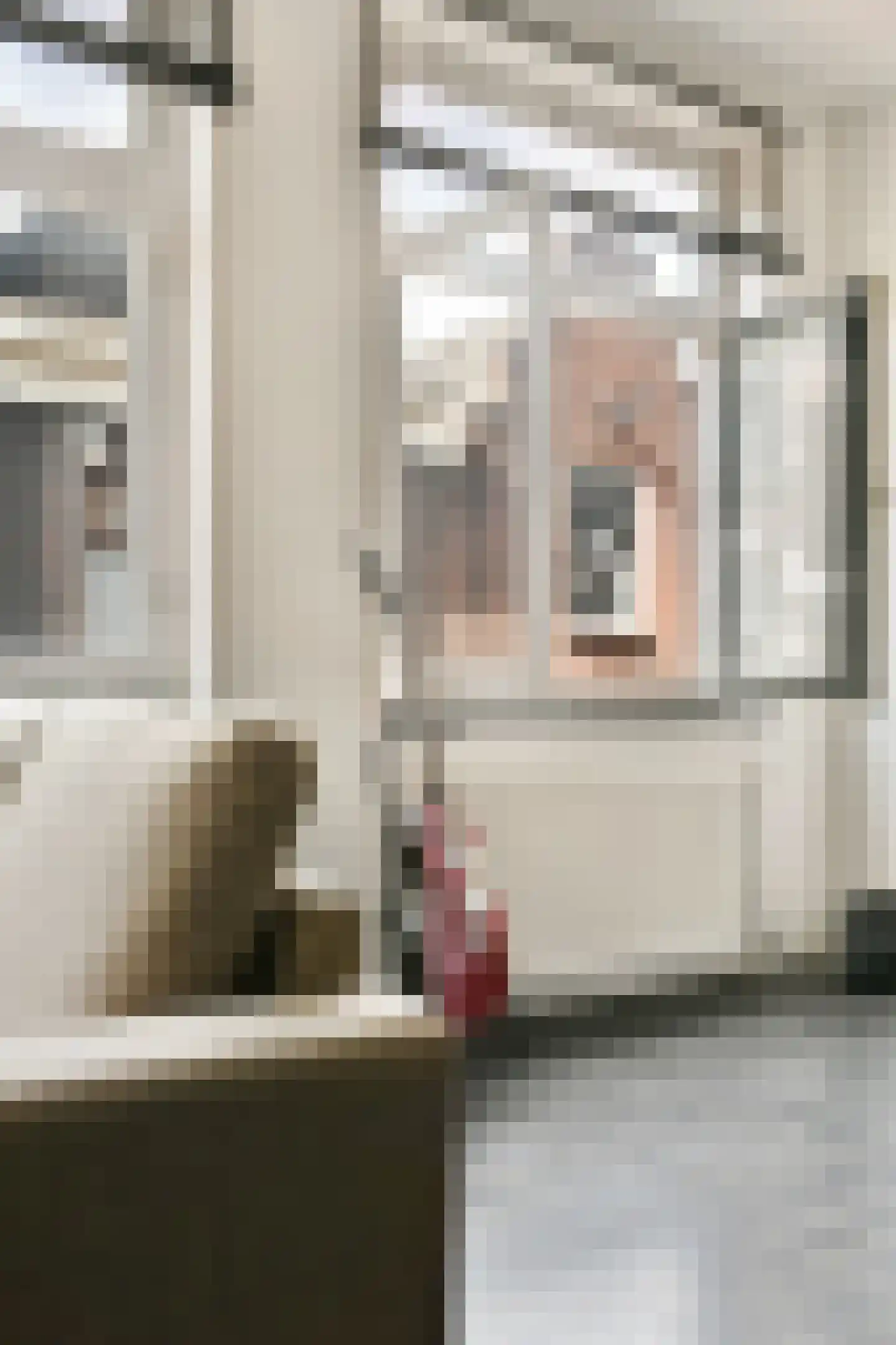 Binnen Oranjestraat 19 2 Amsterdam thumbnail 7