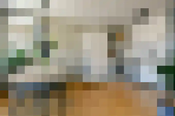 Binnen Oranjestraat 19 3 Amsterdam thumbnail 6