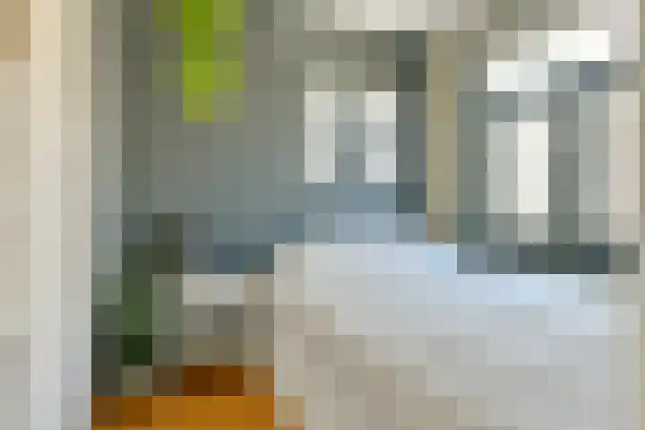 Binnen Oranjestraat 19 3 Amsterdam thumbnail 9