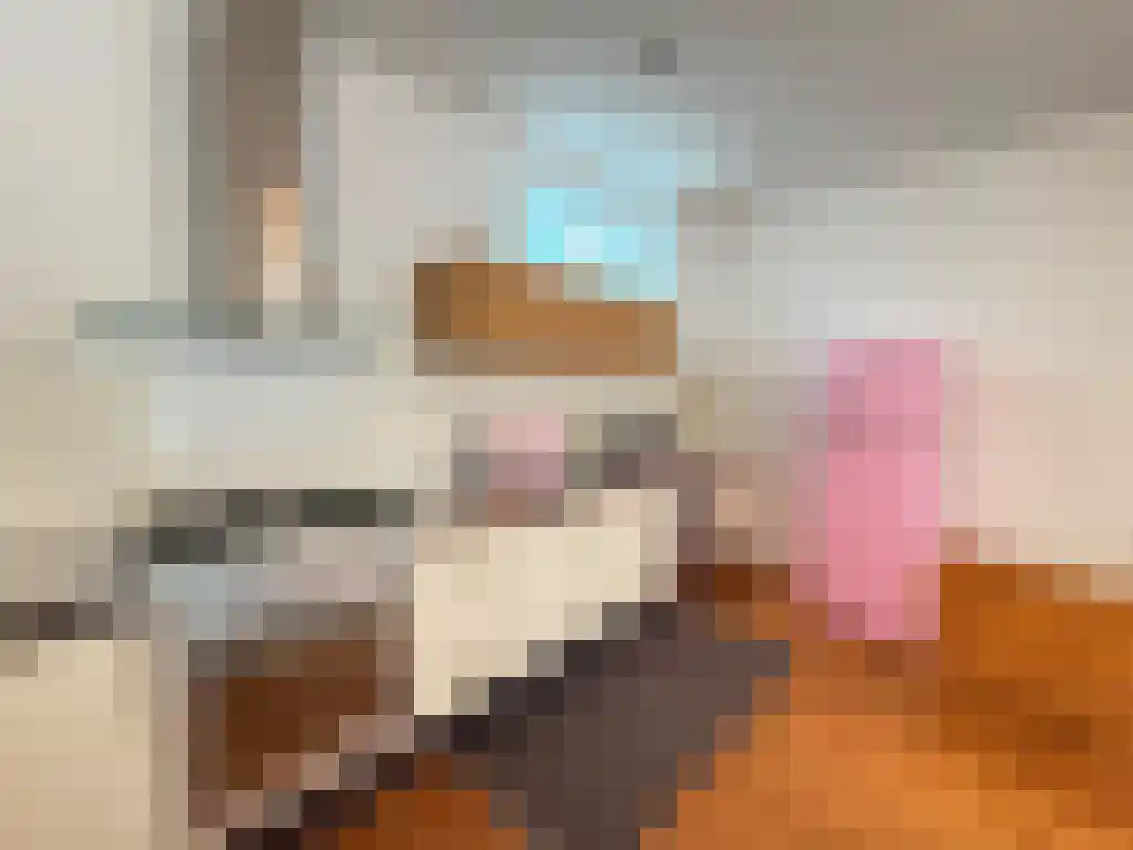Binnen Oranjestraat 3 Amsterdam thumbnail 5