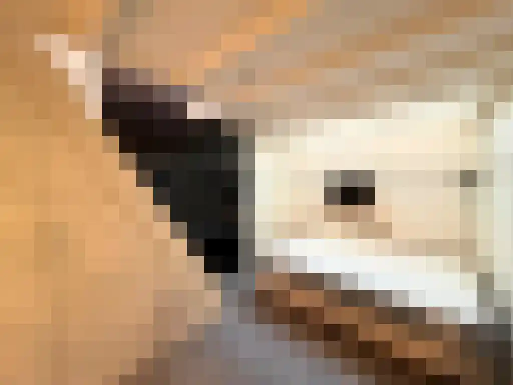 Binnen Oranjestraat 3 Amsterdam thumbnail 6