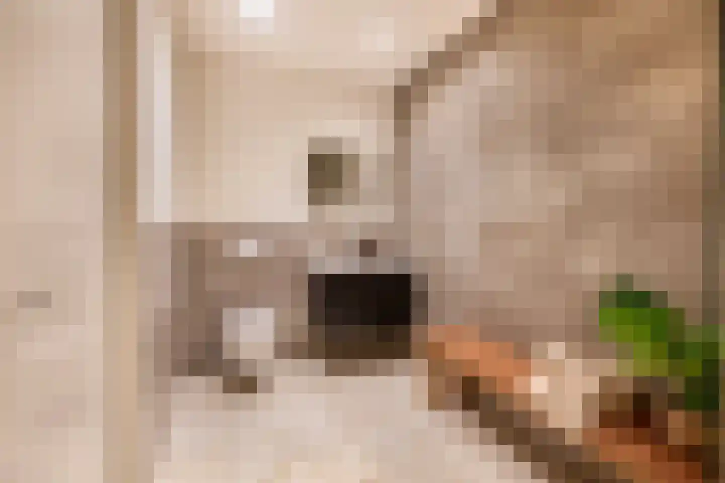 Binnen Parallelweg 10 A Helmond thumbnail 4