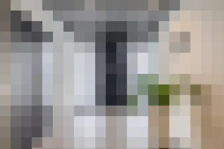 Binnen Parallelweg 12 Helmond thumbnail 12