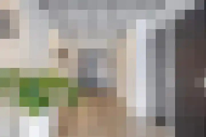 Binnen Parallelweg 12 Helmond thumbnail 13