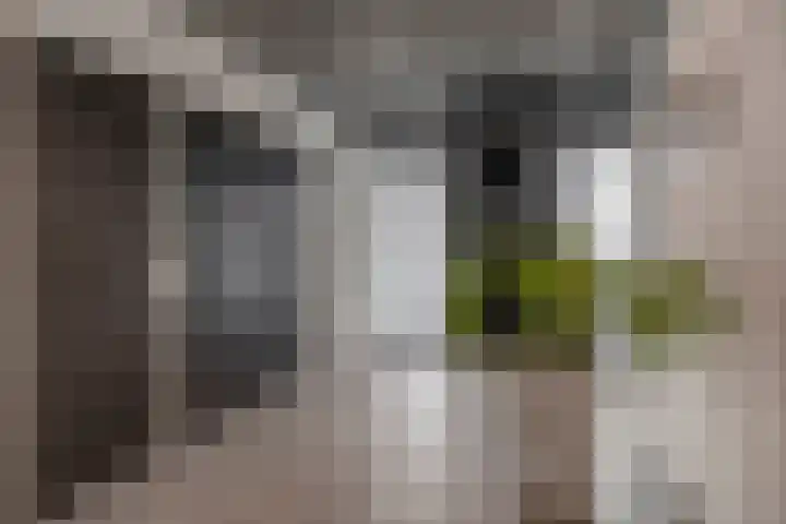 Binnen Parallelweg 18 A Helmond thumbnail 7
