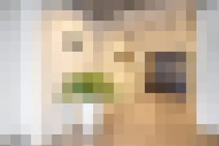Binnen Parallelweg 18 Helmond thumbnail 8