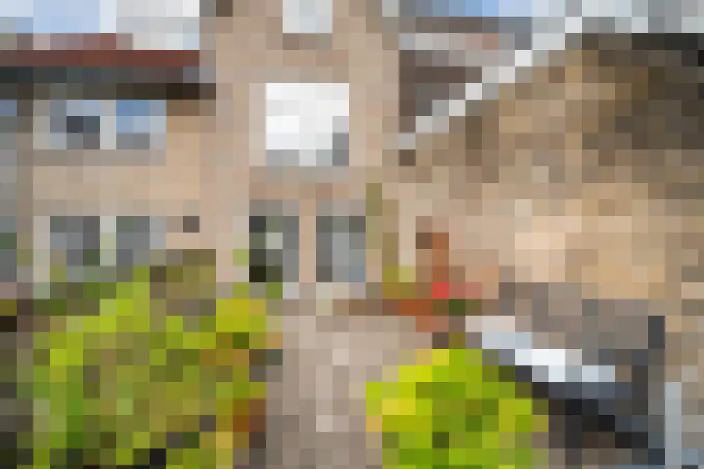 Binnen Walevest 22 Dordrecht thumbnail 22