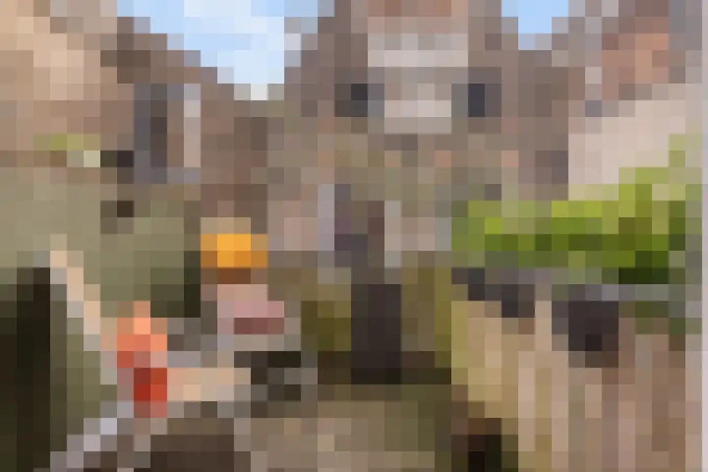 Binnen Walevest 32 Dordrecht thumbnail 38