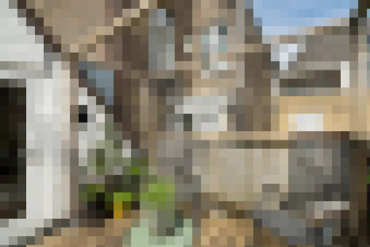 Binnen Walevest 6 Dordrecht thumbnail 47