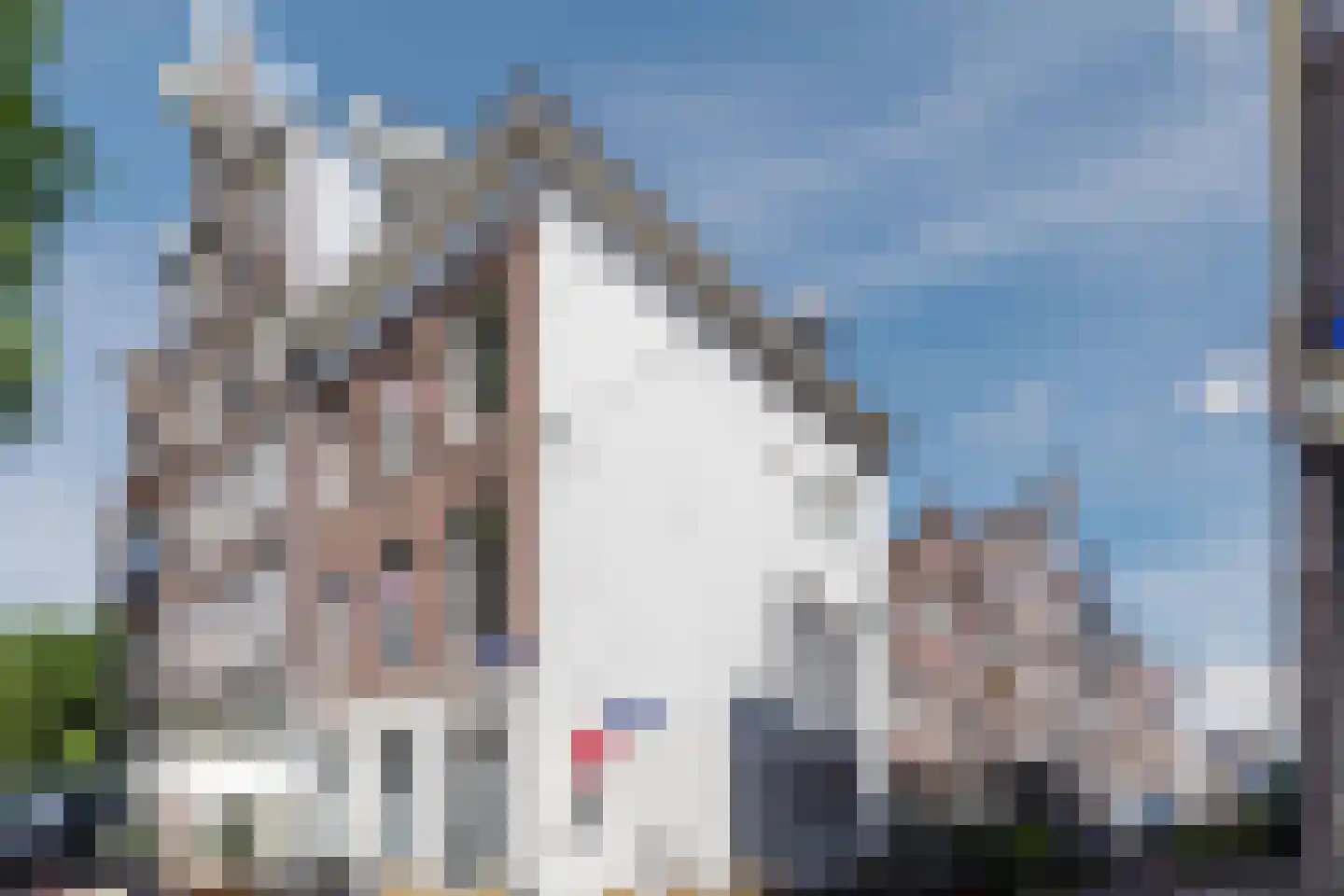 Binnen Wieringerstraat 18 Amsterdam thumbnail 20