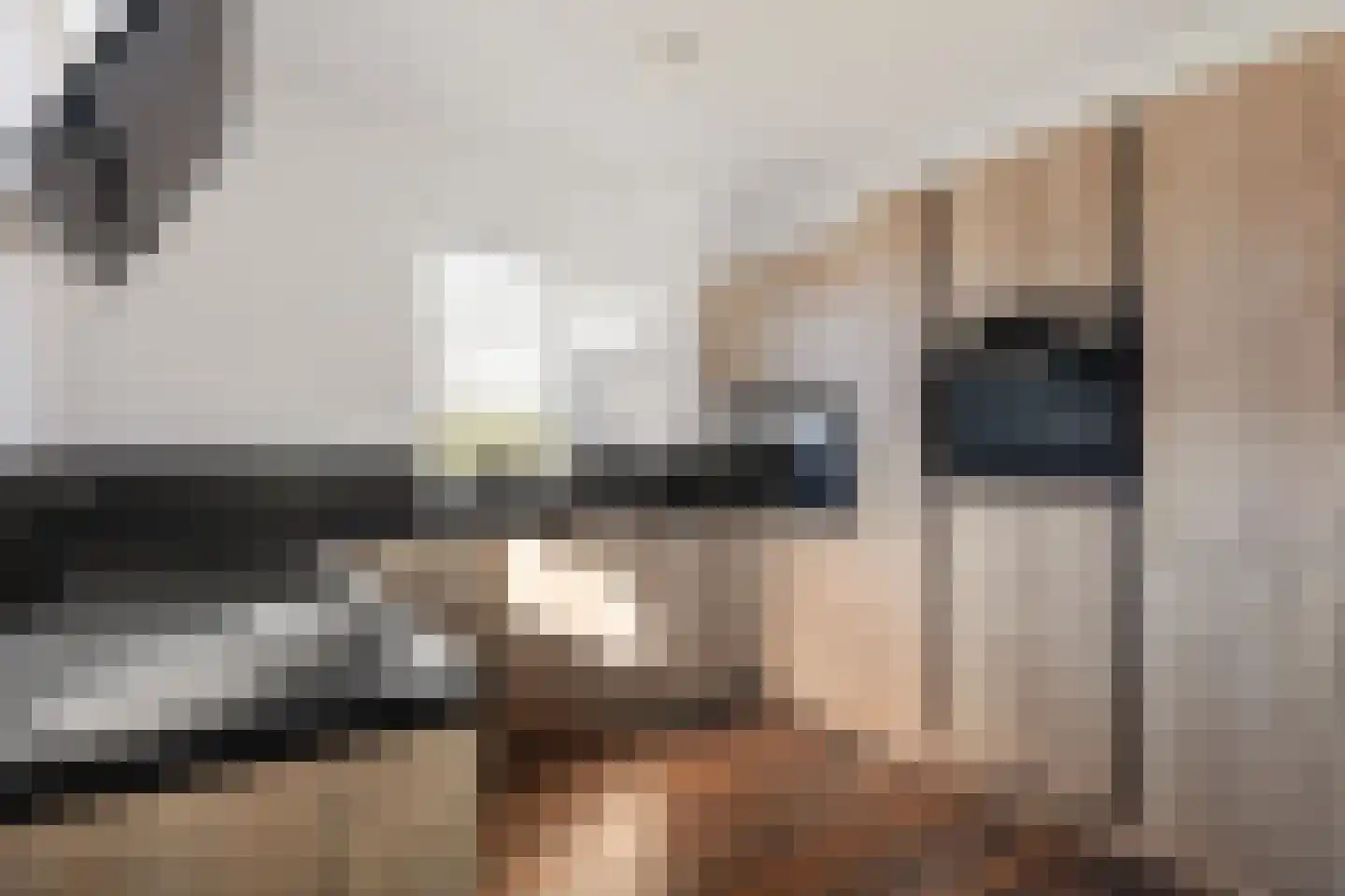Binnenbaan 14 Erica thumbnail 17
