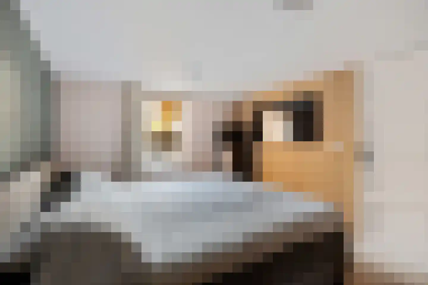 Binnenbaan 14 Erica thumbnail 24
