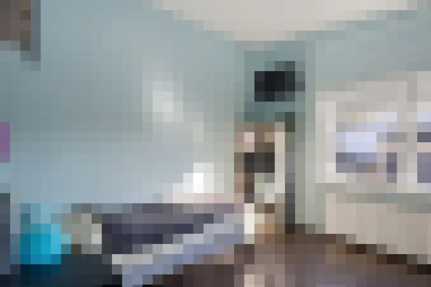 Binnenbaan 14 Erica thumbnail 31