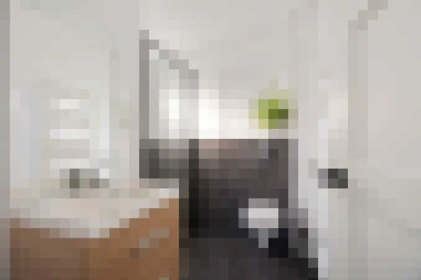 Binnenbaan 14 Erica thumbnail 35