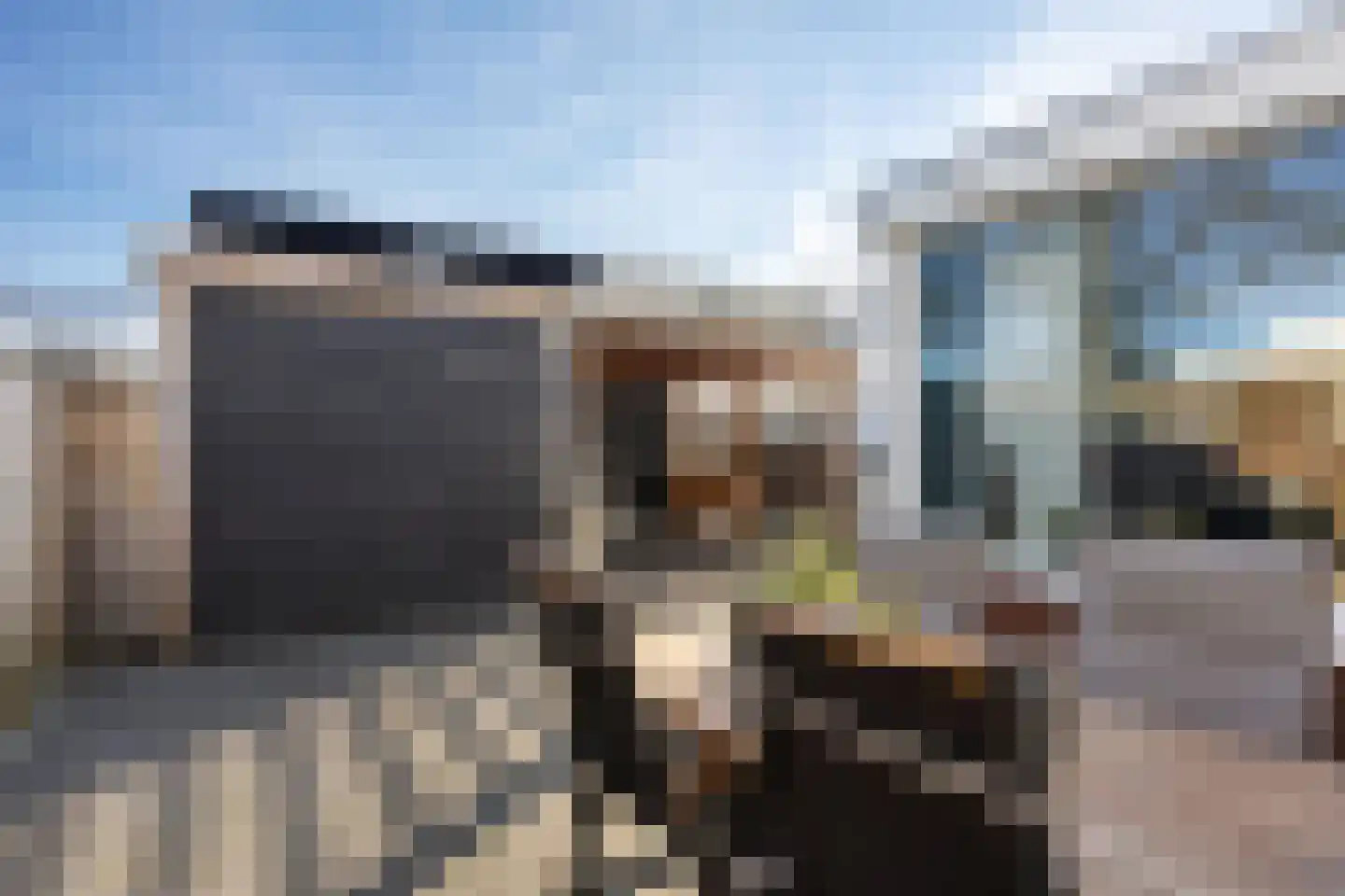 Binnenbaan 14 Erica thumbnail 39