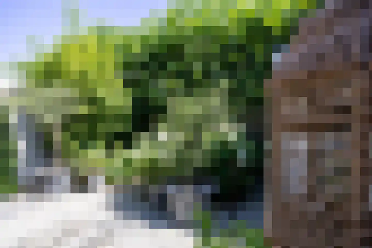 Binnenbaan 27 Gorinchem thumbnail 16